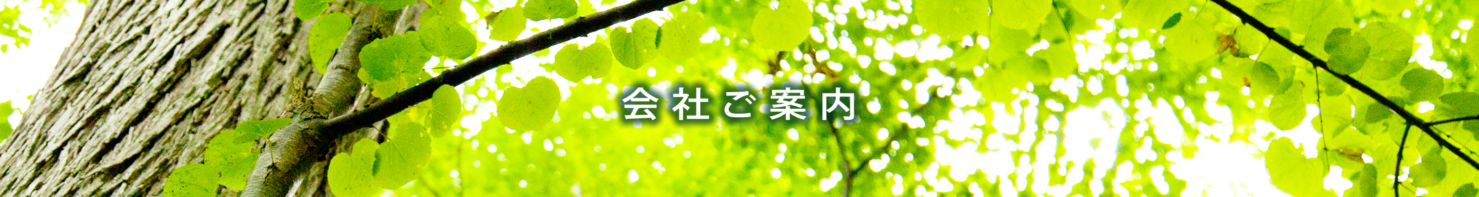 会社ご案内